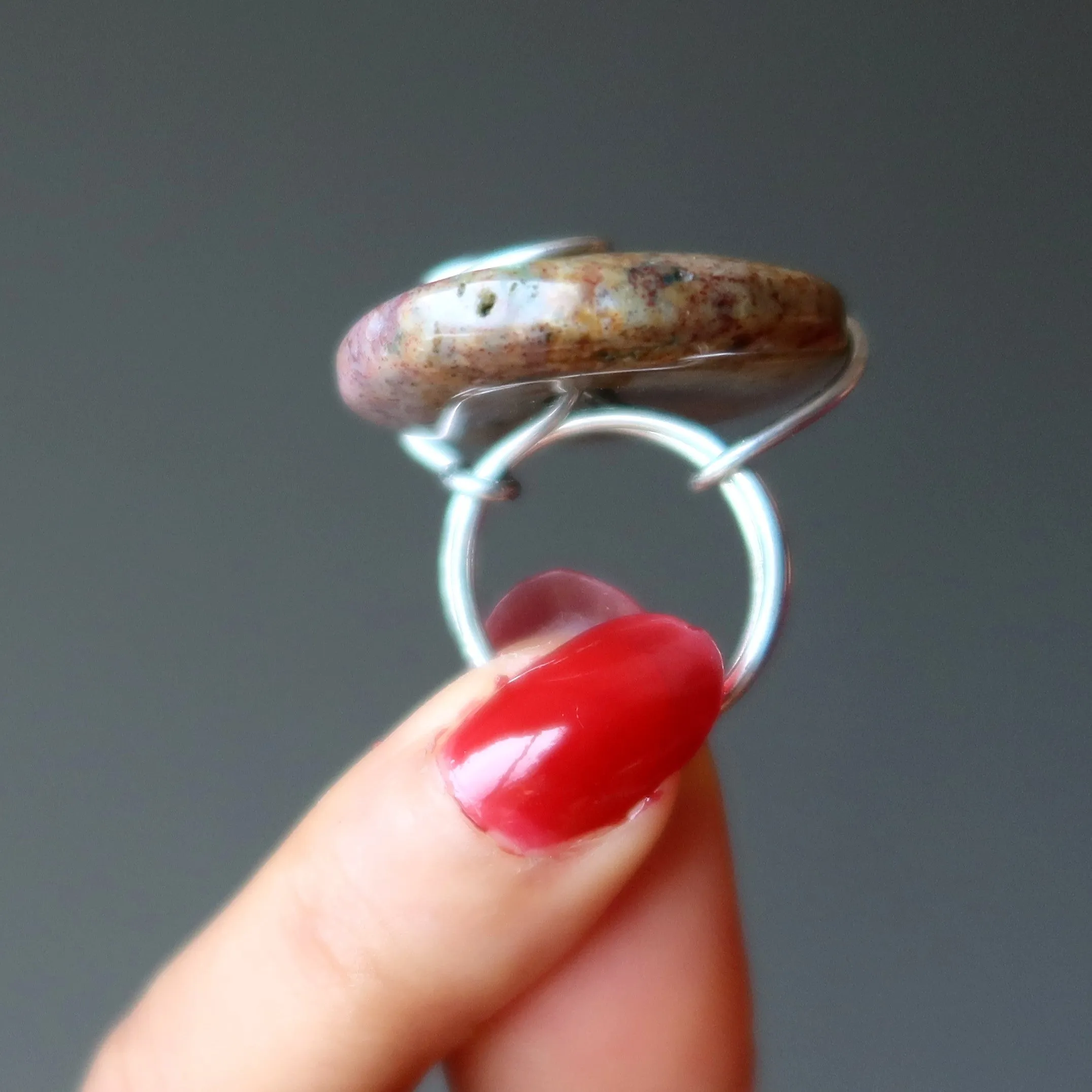 Fancy Jasper Ring Donut Delight Silver Size 5.5